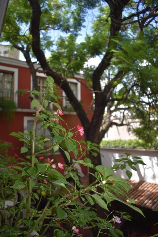 Hotel Ana Catalina And Suites San Miguel de Allende Extérieur photo