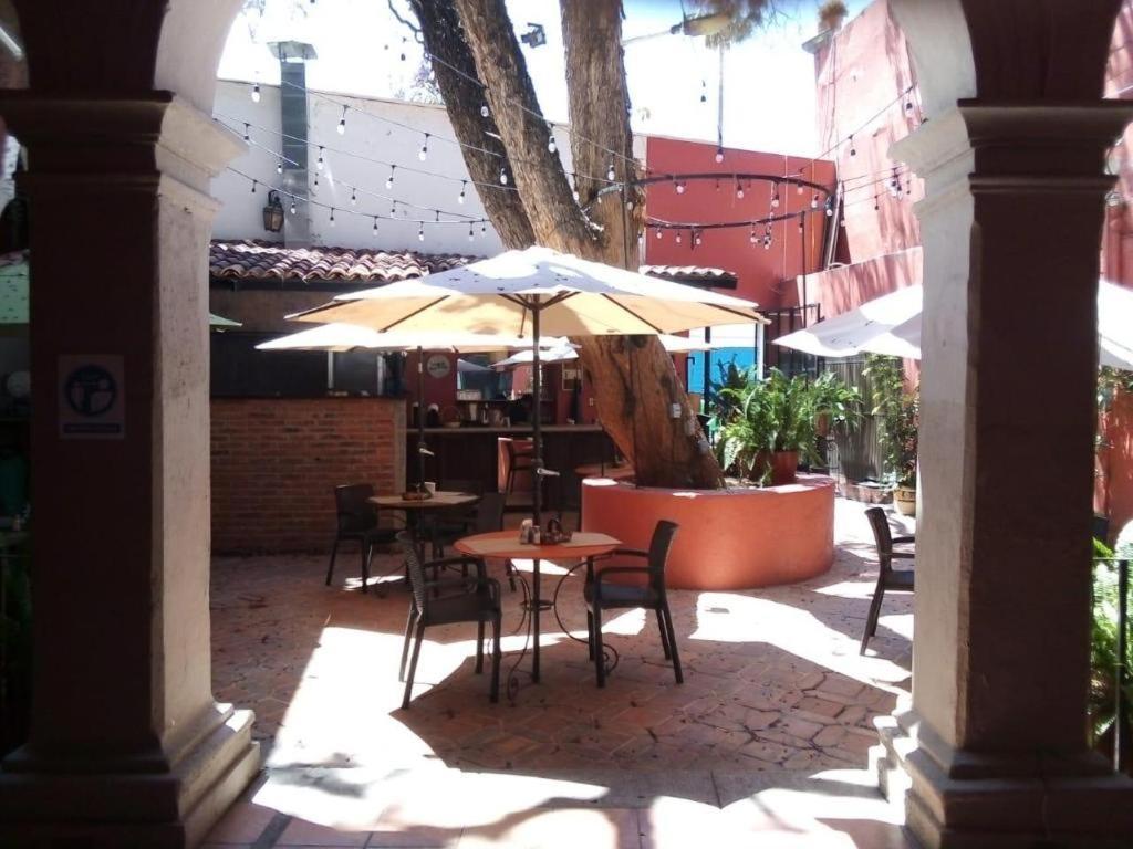 Hotel Ana Catalina And Suites San Miguel de Allende Extérieur photo